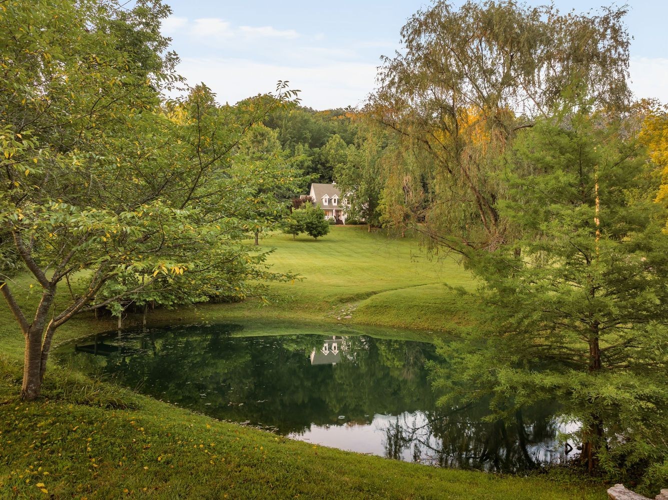 9581 South Harpeth Road Nashville, TN 37221 - Photo 4 of 55 a view of a field with an trees