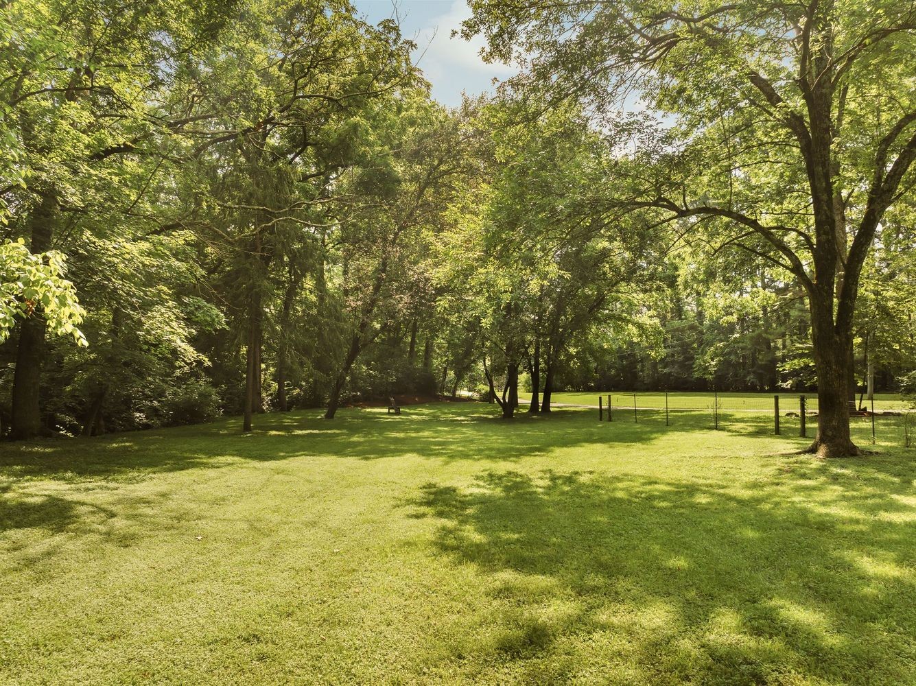 9581 South Harpeth Road Nashville, TN 37221 - Photo 52 of 55 a view of a field with a tree