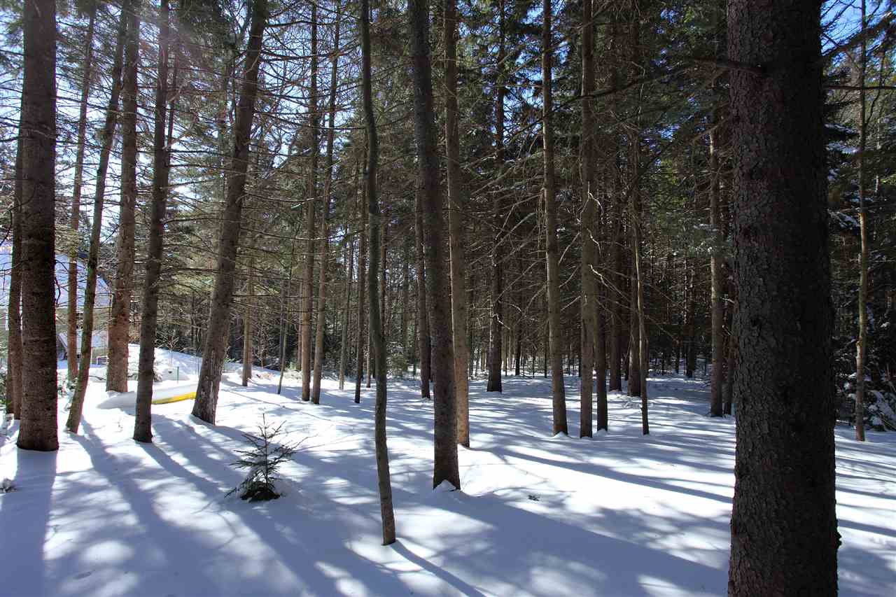45 Cheney Brook Loop West Dover, VT 05356 - Photo 17 of 28 Gallery Image 17