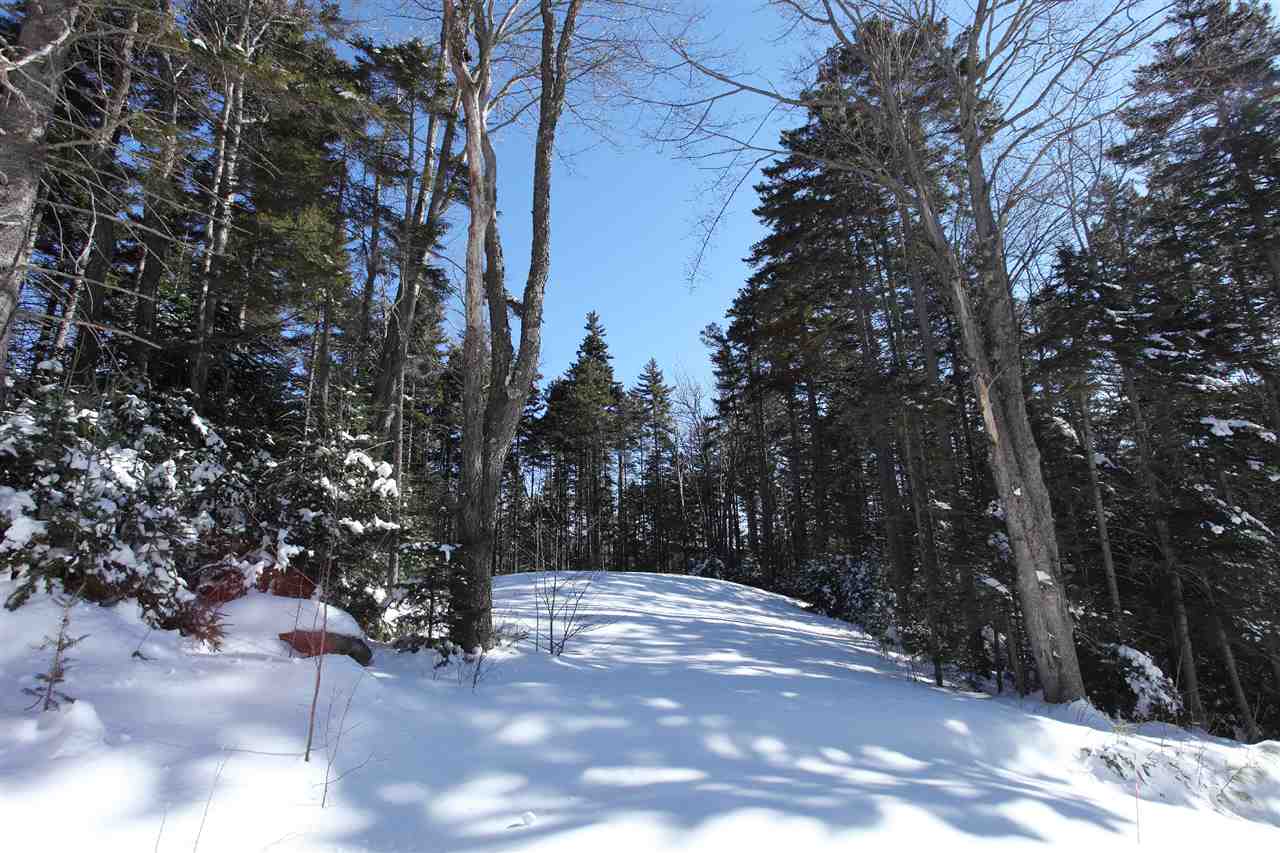 45 Cheney Brook Loop West Dover, VT 05356 - Photo 22 of 28 Gallery Image 22