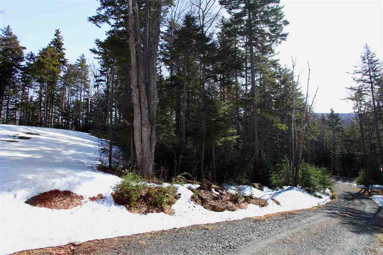 45 Cheney Brook Loop West Dover, VT 05356 - Photo 26 of 28 Gallery Image 26