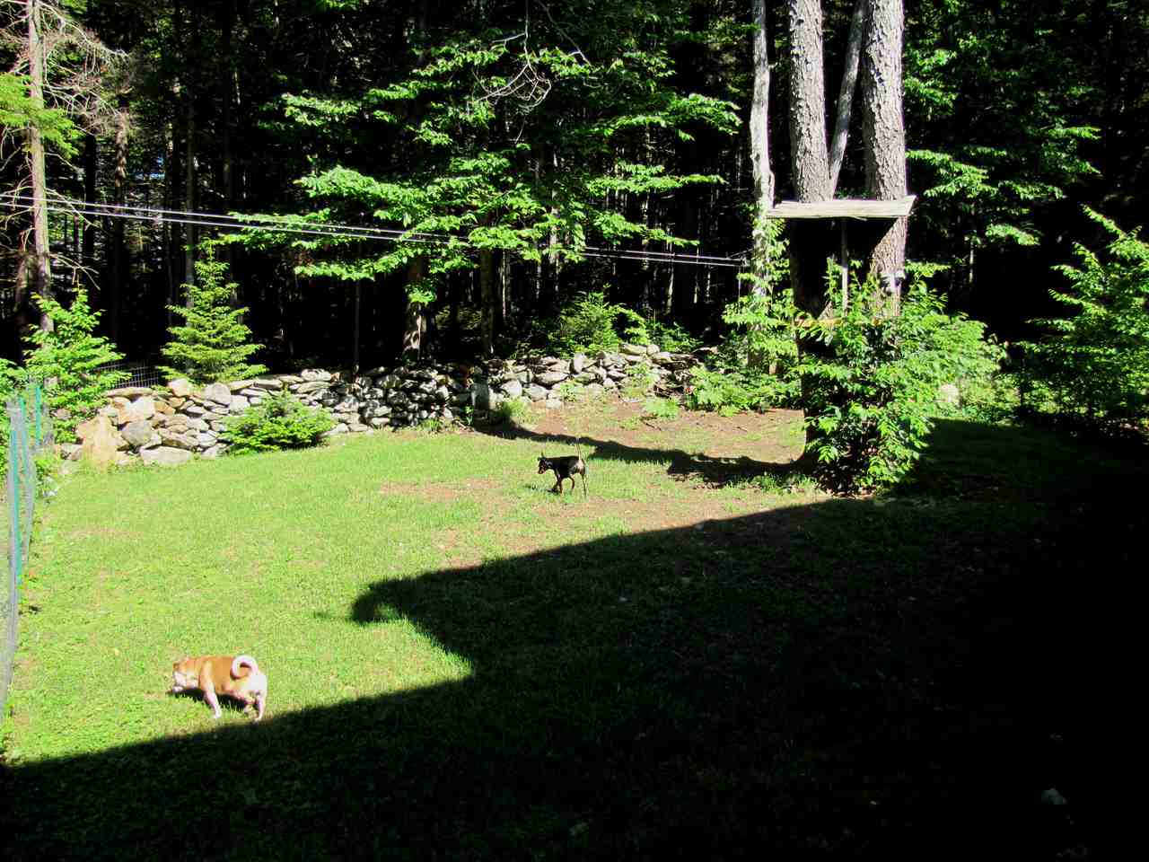 45 Cheney Brook Loop West Dover, VT 05356 - Photo 28 of 28 Gallery Image 28