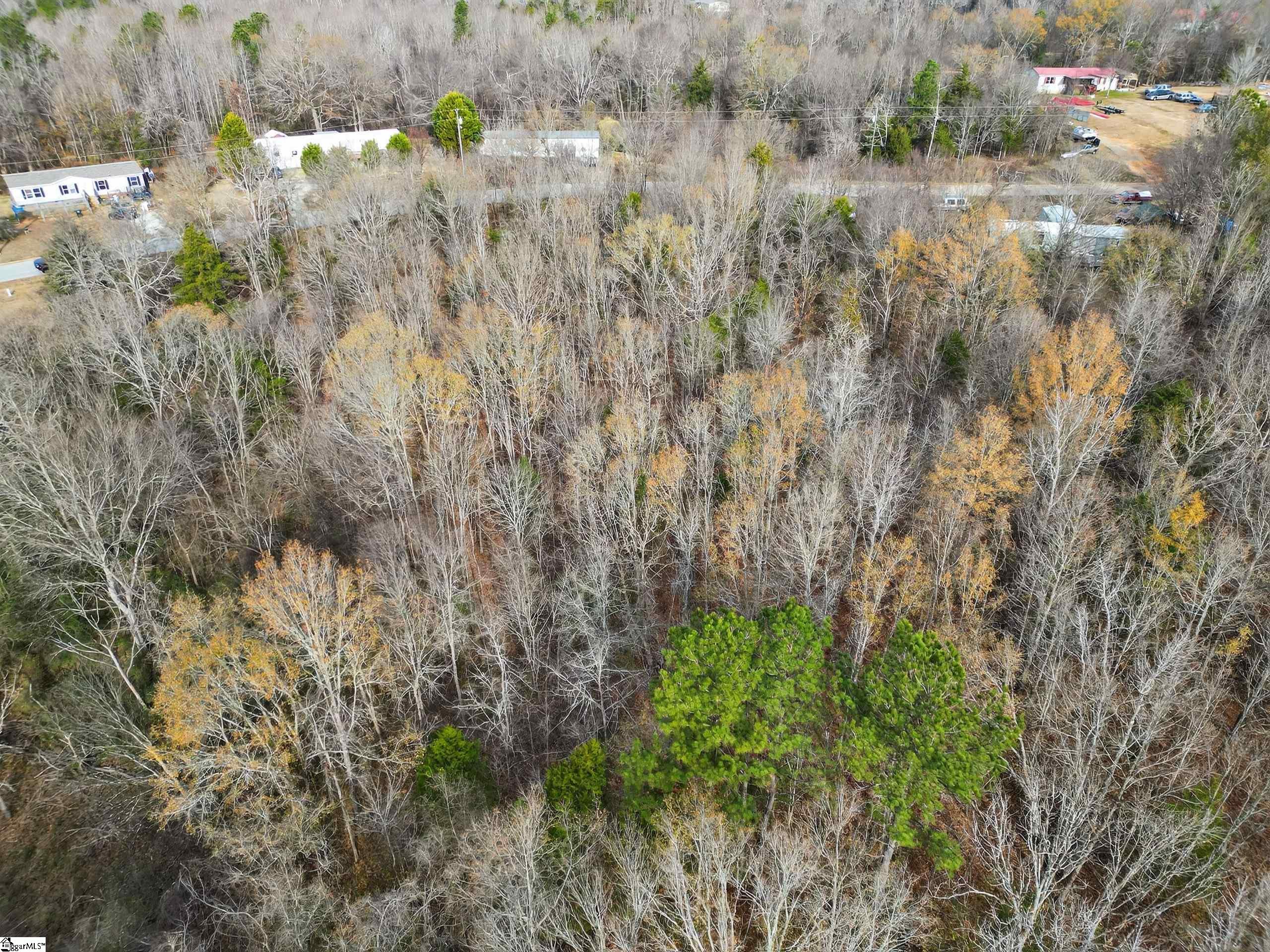 0 Enchanted Oaks Drive Waterloo, SC 29384 - Photo 8 of 10