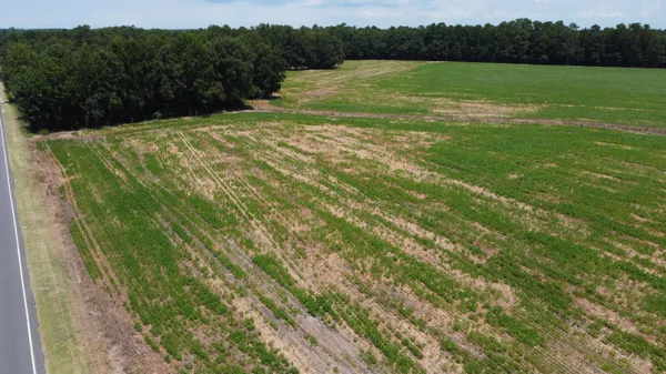 $325,000 | 0 Black River Road, New Zion, SC 29111