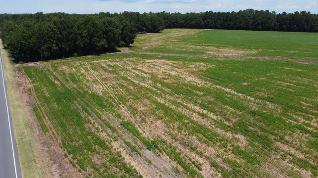 $349,000 | 0 Black River Road, New Zion, SC 29111