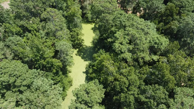 $349,000 | 0 Black River Road, New Zion, SC 29111