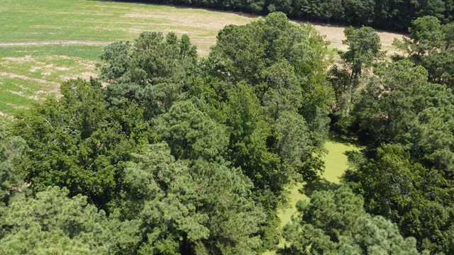 $349,000 | 0 Black River Road, New Zion, SC 29111