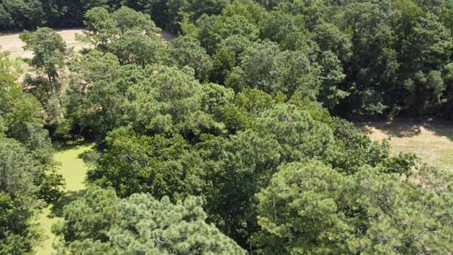 $349,000 | 0 Black River Road, New Zion, SC 29111