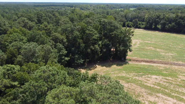 $349,000 | 0 Black River Road, New Zion, SC 29111