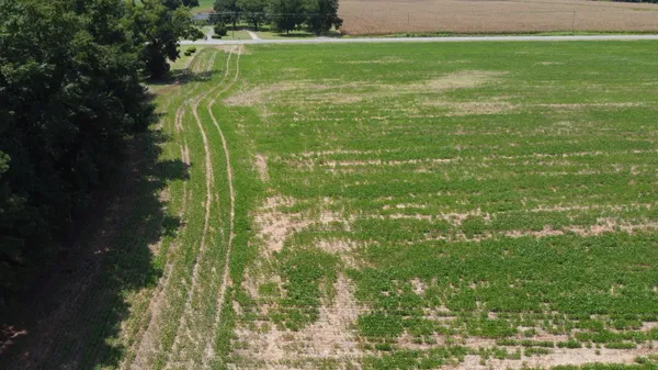 $325,000 | 0 Black River Road, New Zion, SC 29111