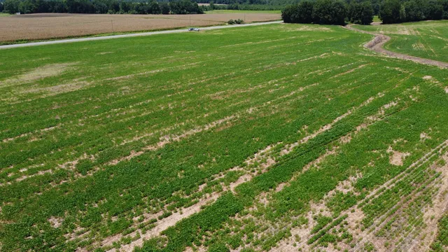 $349,000 | 0 Black River Road, New Zion, SC 29111