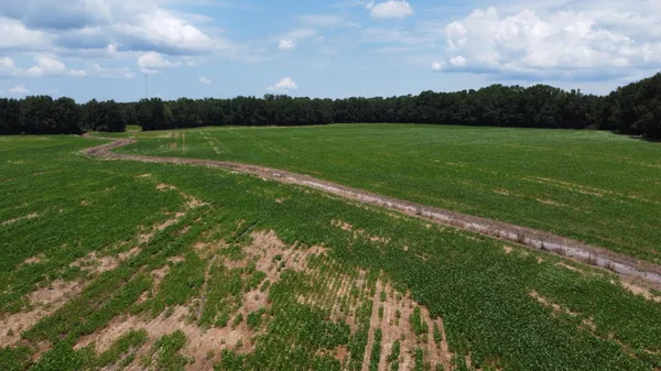 $325,000 | 0 Black River Road, New Zion, SC 29111