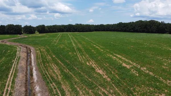 $325,000 | 0 Black River Road, New Zion, SC 29111