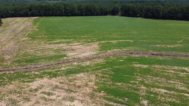 $349,000 | 0 Black River Road, New Zion, SC 29111