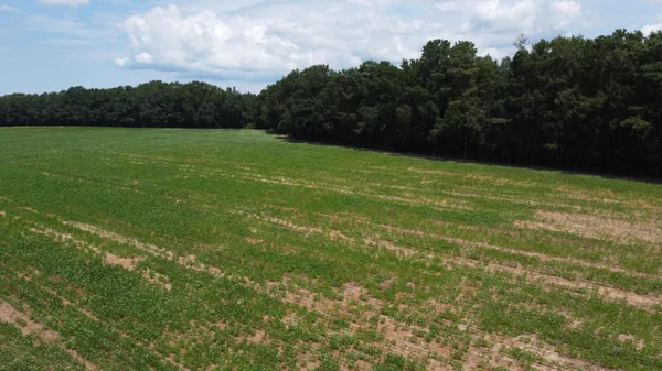 $325,000 | 0 Black River Road, New Zion, SC 29111