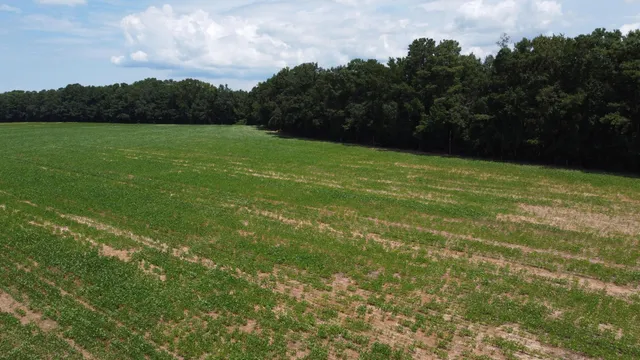 $349,000 | 0 Black River Road, New Zion, SC 29111