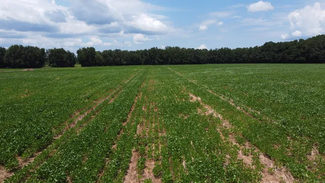 $349,000 | 0 Black River Road, New Zion, SC 29111