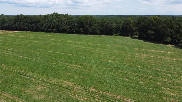 $349,000 | 0 Black River Road, New Zion, SC 29111