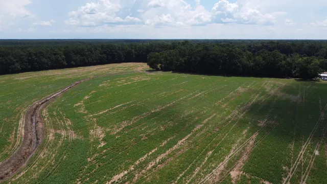 $349,000 | 0 Black River Road, New Zion, SC 29111