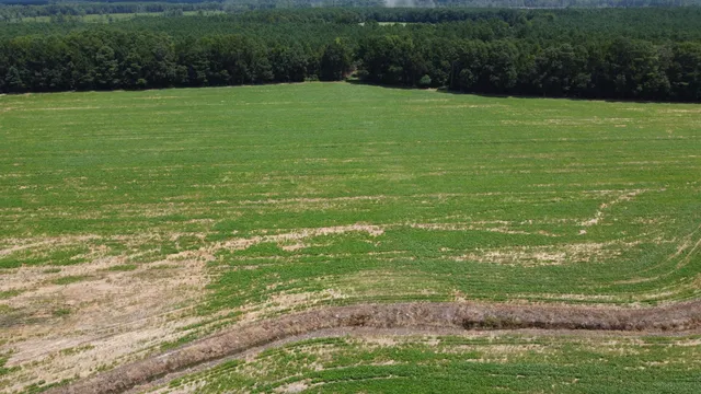 $349,000 | 0 Black River Road, New Zion, SC 29111