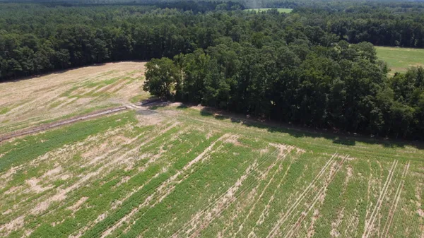 $325,000 | 0 Black River Road, New Zion, SC 29111