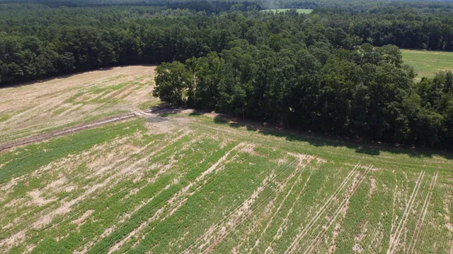 $349,000 | 0 Black River Road, New Zion, SC 29111