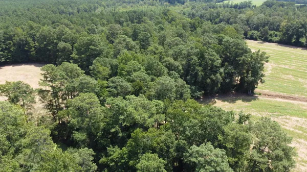 $325,000 | 0 Black River Road, New Zion, SC 29111