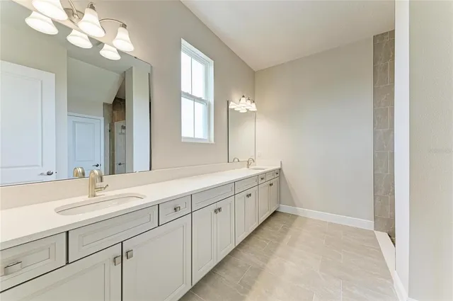 a bathroom with double vanity sink a vanity and a mirror
