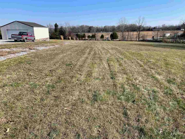 a view of road with large trees