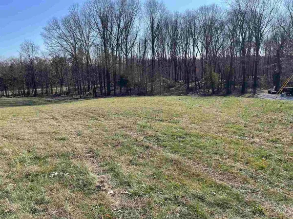 a view of yard with large trees