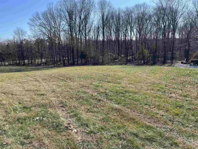 a view of yard with large trees