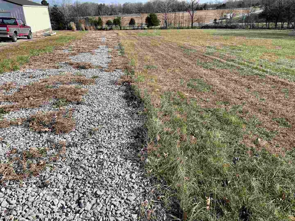 a view of a yard with cars