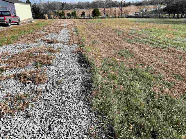 a view of a yard with cars
