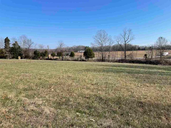 a big yard with trees in front of it