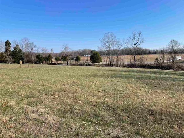 a big yard with trees in front of it