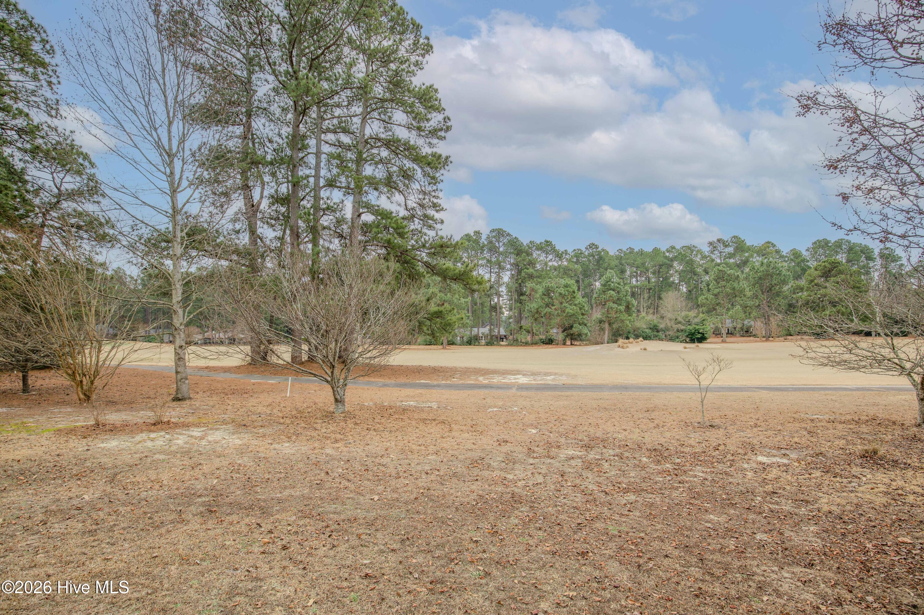 45 Richmond Road Jackson Springs, NC 27281 - Photo 79 of 93 Enjoy wide open views of the fairway right from your backyard. This scenic vista offers a peaceful retreat and a perfect setting for nature lovers or golf enthusiasts alike.