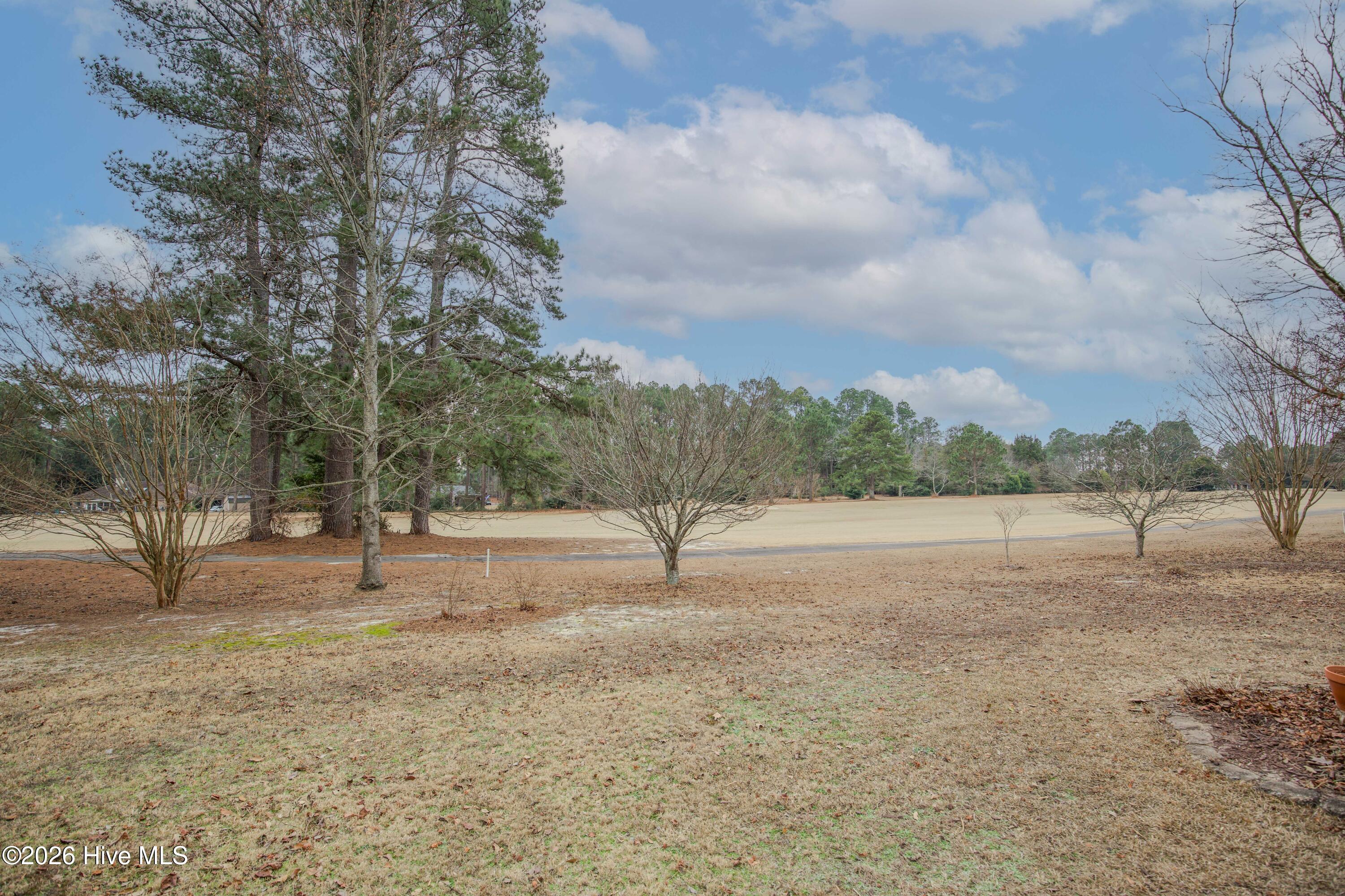 45 Richmond Road Jackson Springs, NC 27281 - Photo 80 of 93 Relax in your backyard with peaceful views of the golf course framed by mature trees. A perfect setting for enjoying the outdoors and soaking in the beauty of nature.