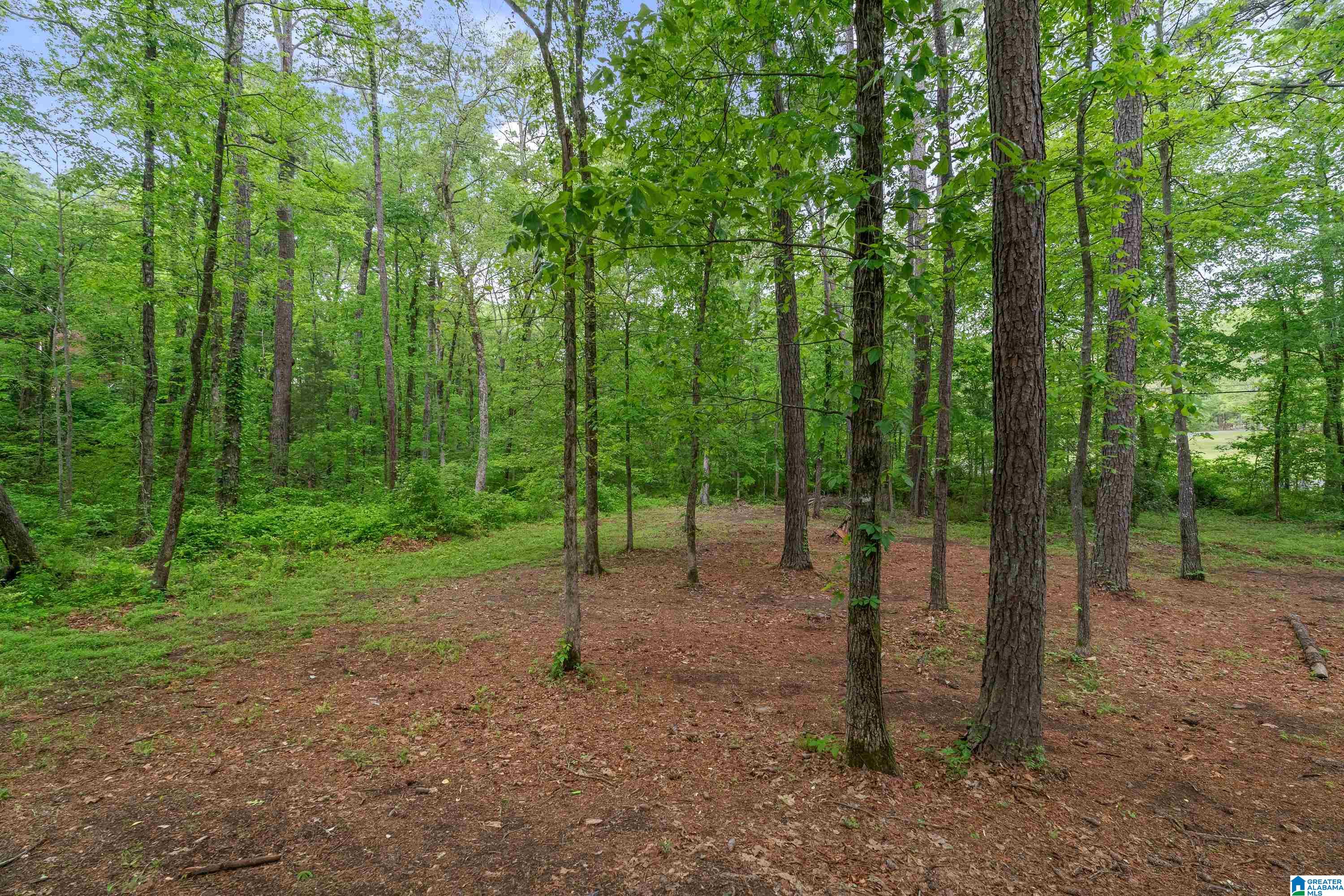 158 Timber Trail Chelsea, AL 35043 - Photo 45 of 45