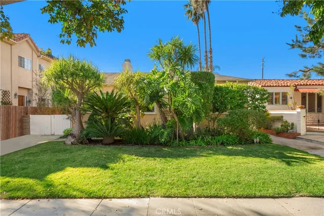 a view of a yard with a tree