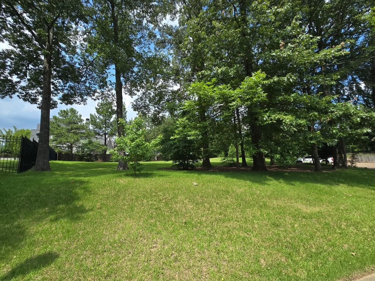 2472 Sanders Ridge Lane Germantown, TN 38138 - Photo 5 of 7