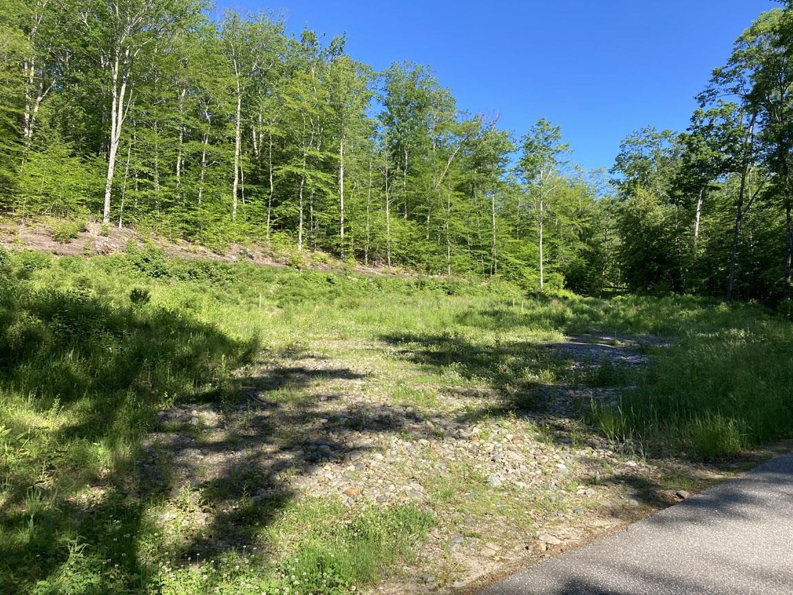 95 Seven Pines Road Holderness, NH 03245 - Photo 1 of 16