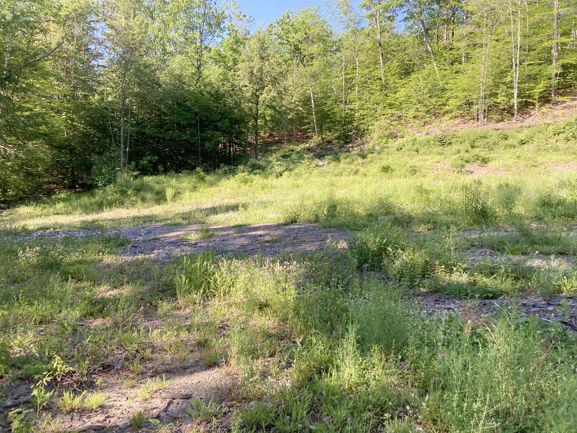 95 Seven Pines Road Holderness, NH 03245 - Photo 12 of 16