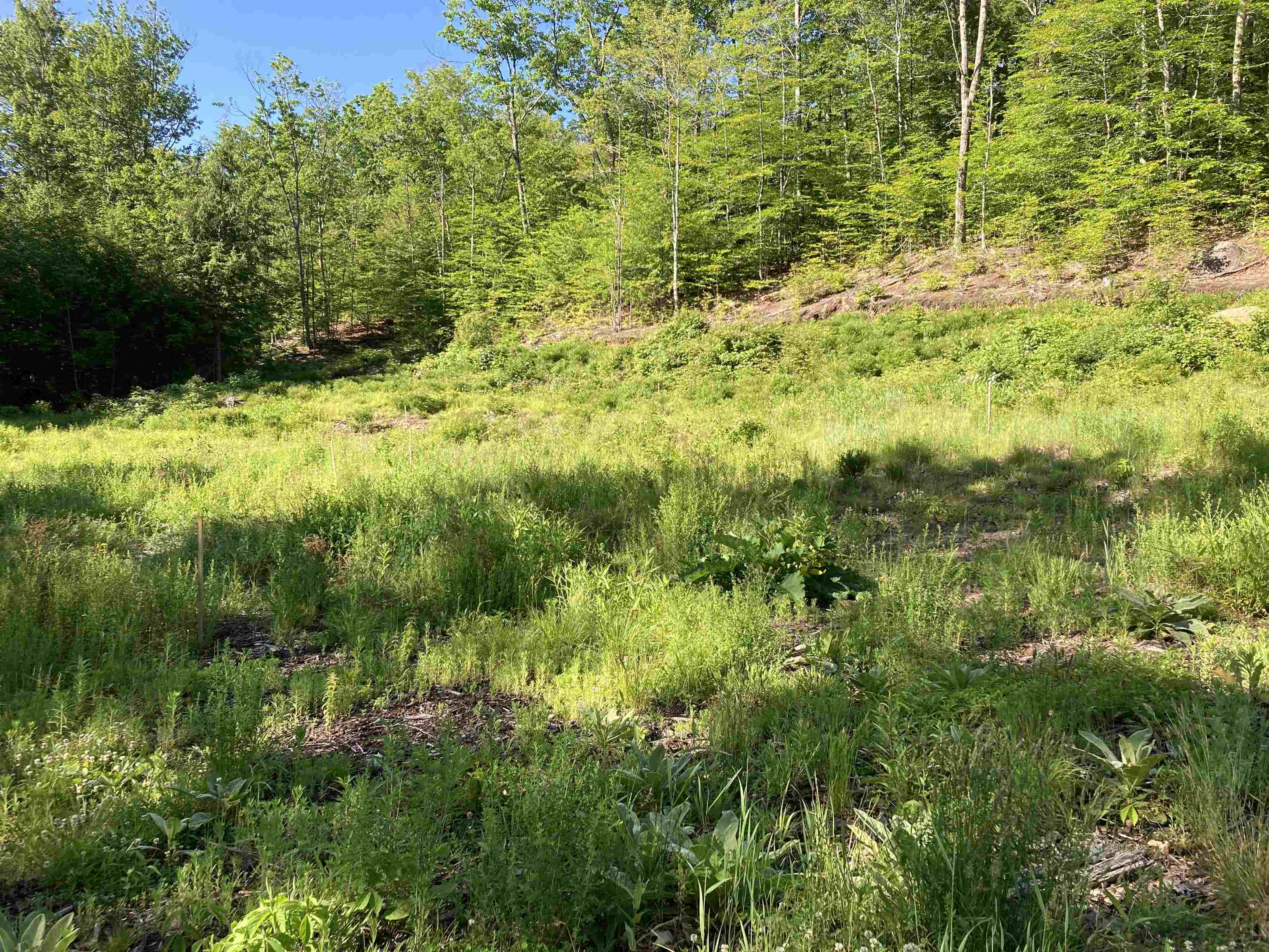 95 Seven Pines Road Holderness, NH 03245 - Photo 13 of 16