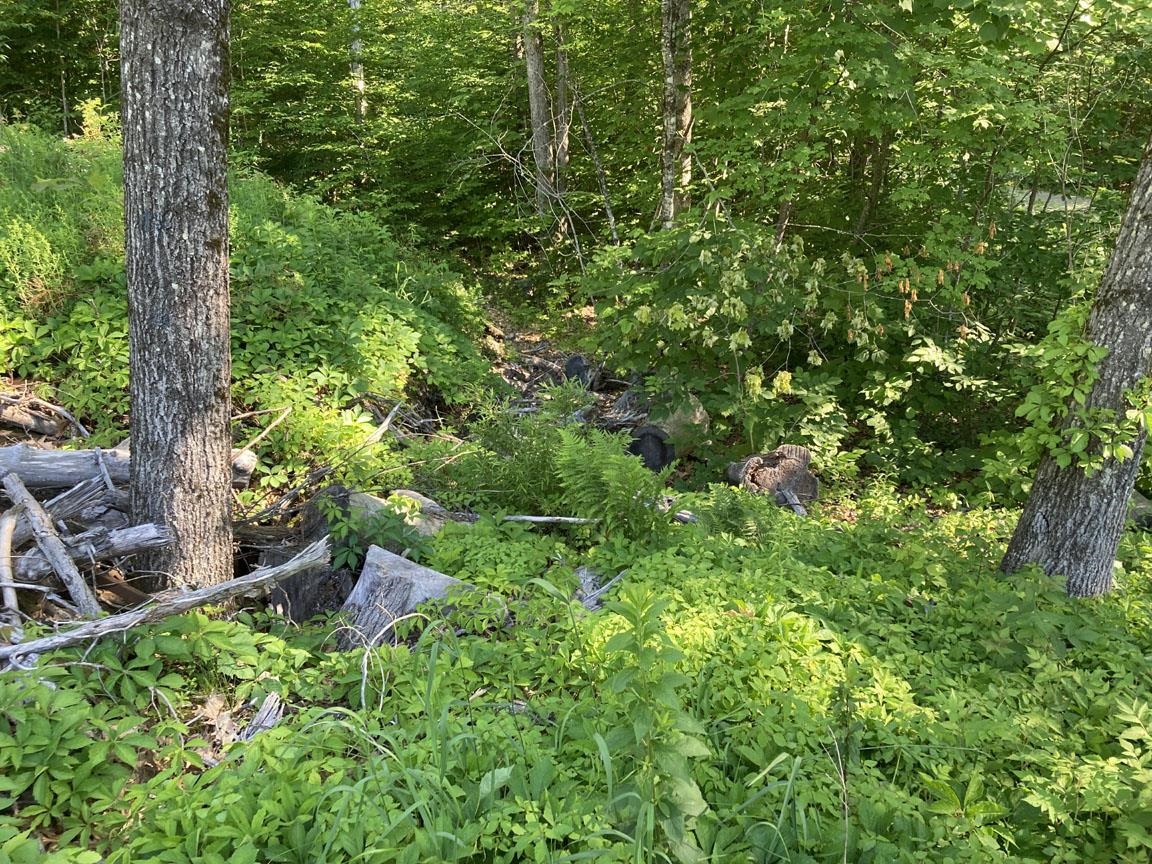 95 Seven Pines Road Holderness, NH 03245 - Photo 14 of 16