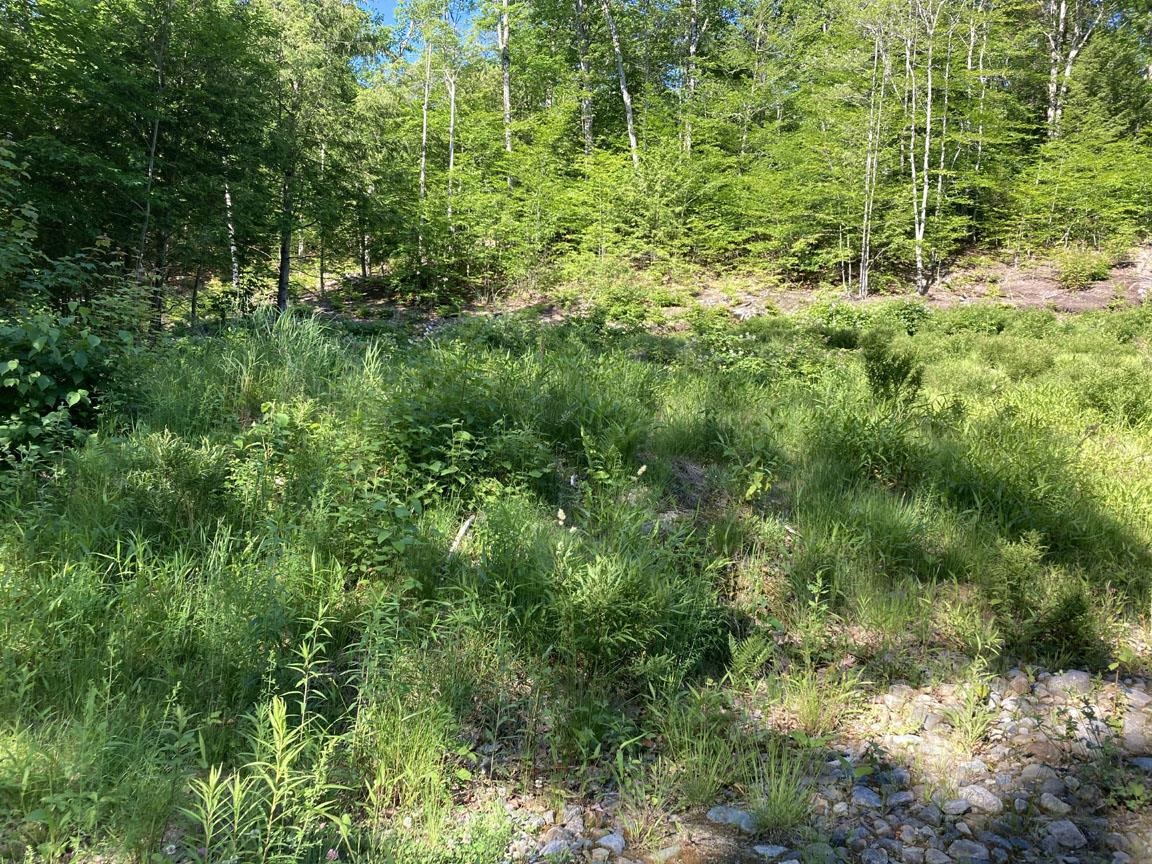 95 Seven Pines Road Holderness, NH 03245 - Photo 15 of 16