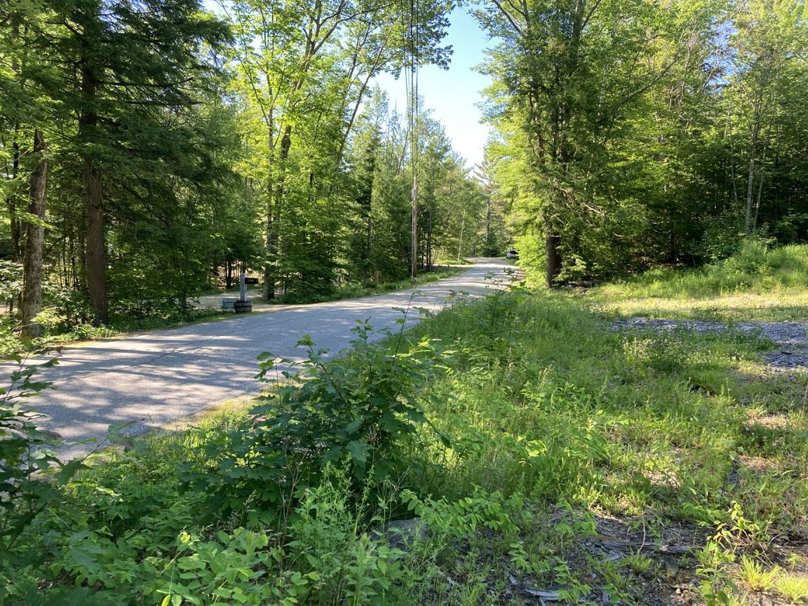 95 Seven Pines Road Holderness, NH 03245 - Photo 16 of 16