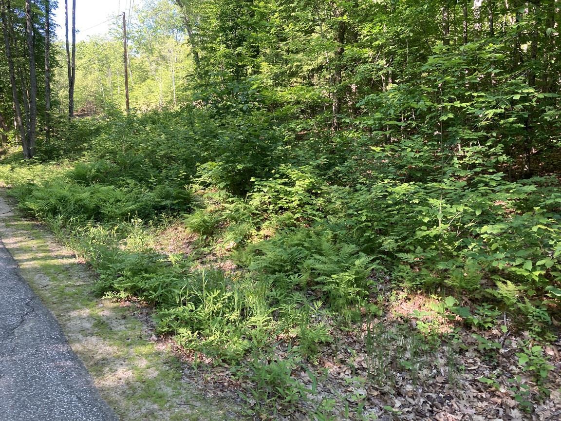 95 Seven Pines Road Holderness, NH 03245 - Photo 2 of 16