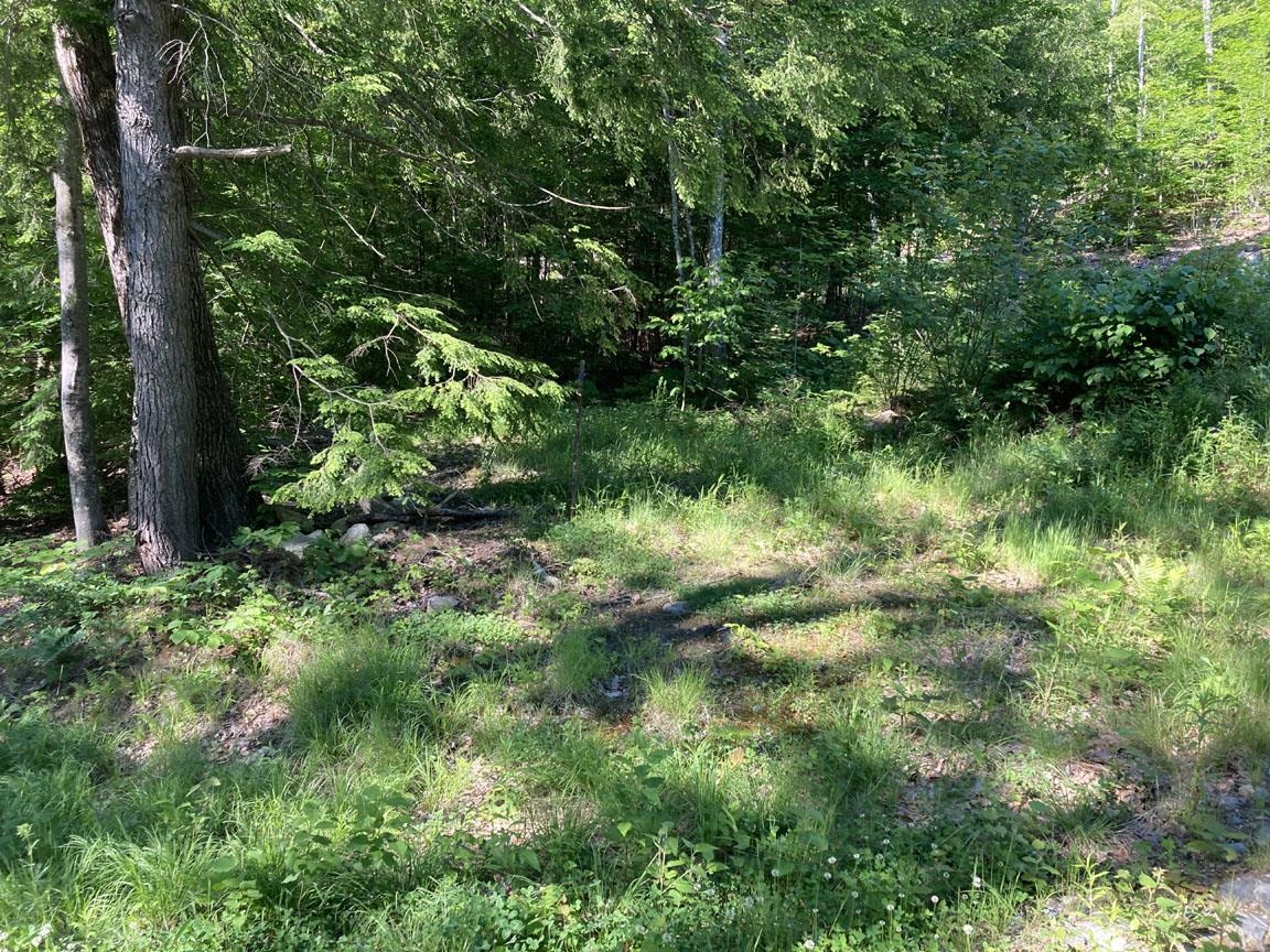 95 Seven Pines Road Holderness, NH 03245 - Photo 3 of 16