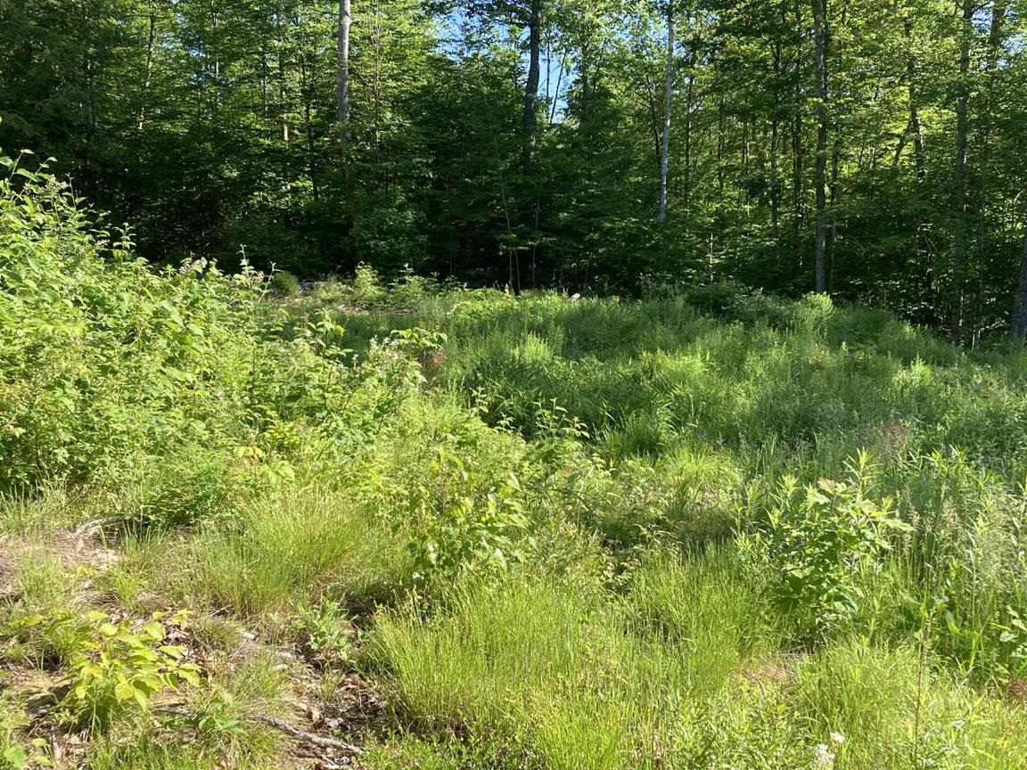 95 Seven Pines Road Holderness, NH 03245 - Photo 6 of 16