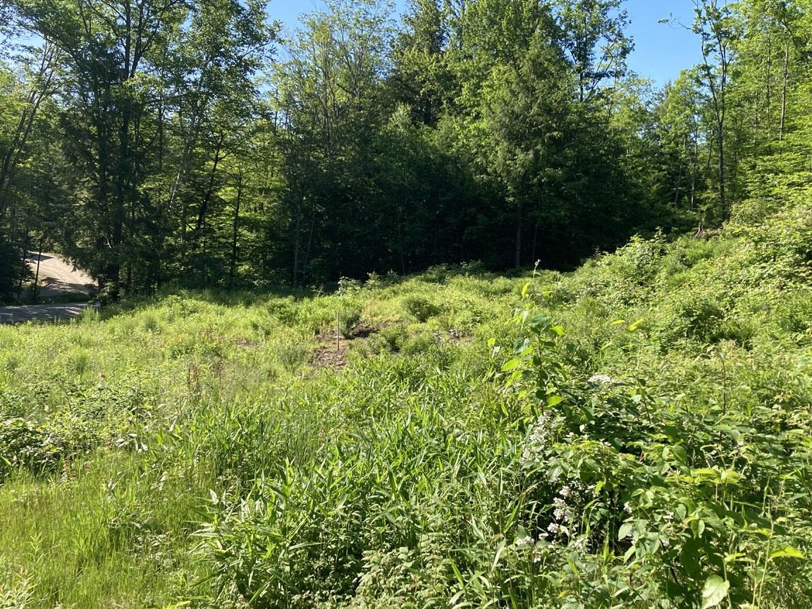 95 Seven Pines Road Holderness, NH 03245 - Photo 7 of 16